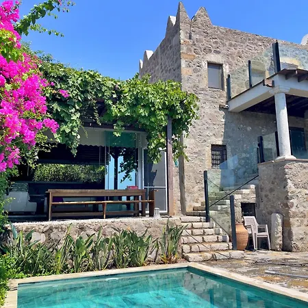 Luxury Stone With Private Pool Villa Ortakent