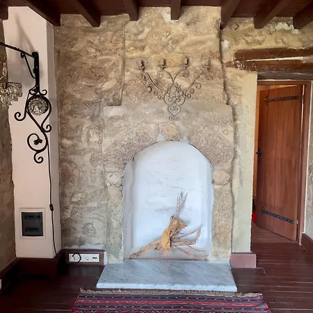 Luxury Stone With Private Pool Villa Ortakent