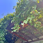 Luxury Stone With Private Pool Vila *