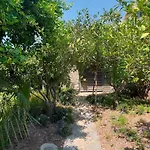 Vila Luxury Stone With Private Pool Bodrum