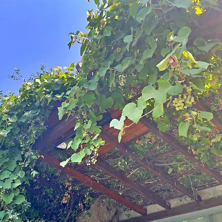 Luxury Stone With Private Pool Villa *