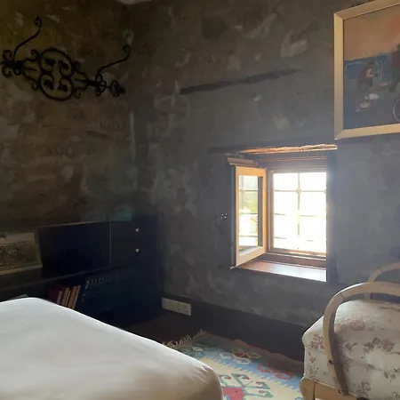 Luxury Stone With Private Pool Villa Ortakentyahşi